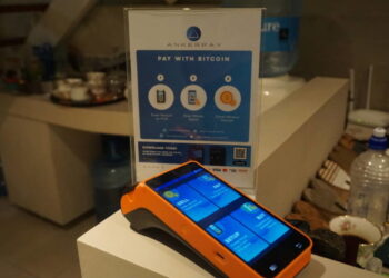 AnkerPay Review: Best MultiCurrency Wallet Yet?