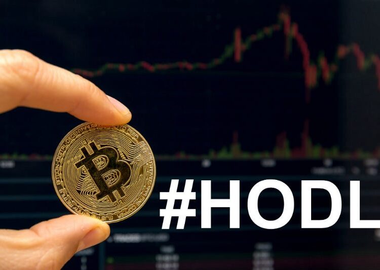 Bitcoin HODL Graph