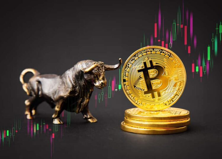 Crypto Next Bull Run Market trending