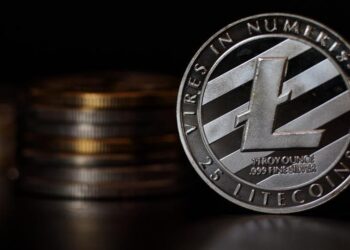Litecoin did better than Bitcoin, but not in the way you might expect