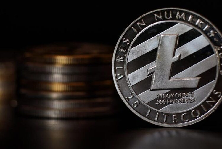 Litecoin did better than Bitcoin, but not in the way you might expect