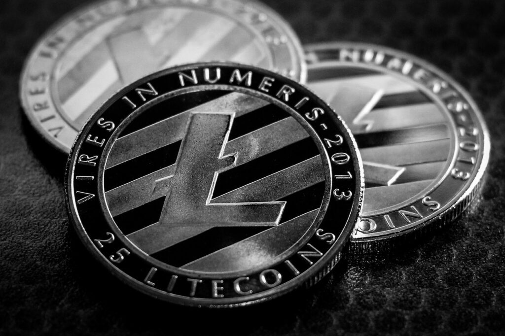 Litecoin Physical Coin Overview
