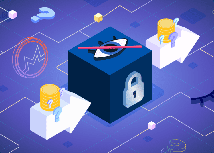 Privacy Box Coins Hidden