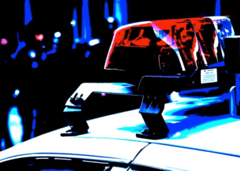 Federal Police Forms Crypto Scams CryptoSeptic