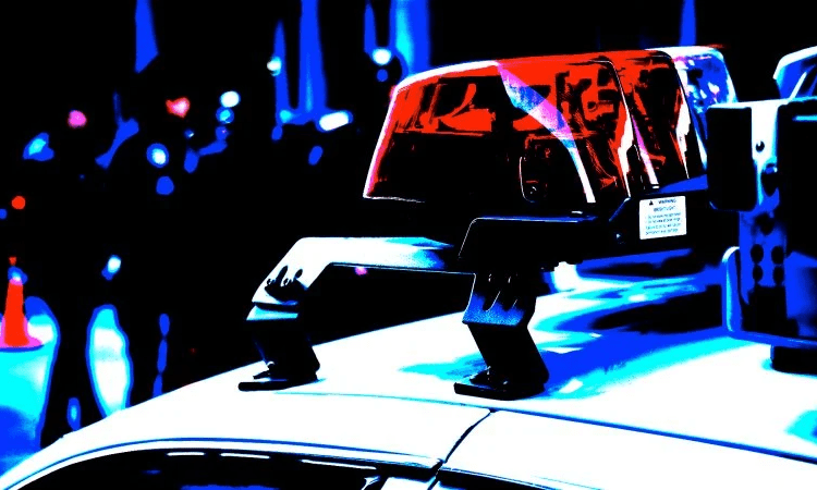 Federal Police Forms Crypto Scams CryptoSeptic